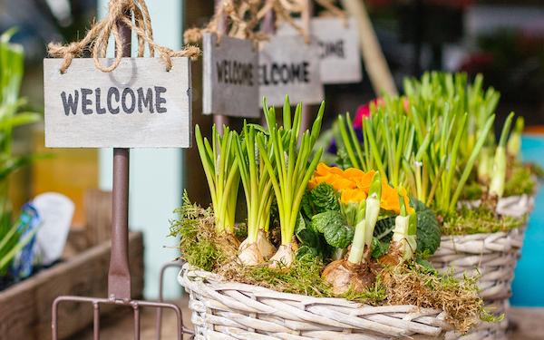 Konfiguracja zaproszeń w sklepie internetowym